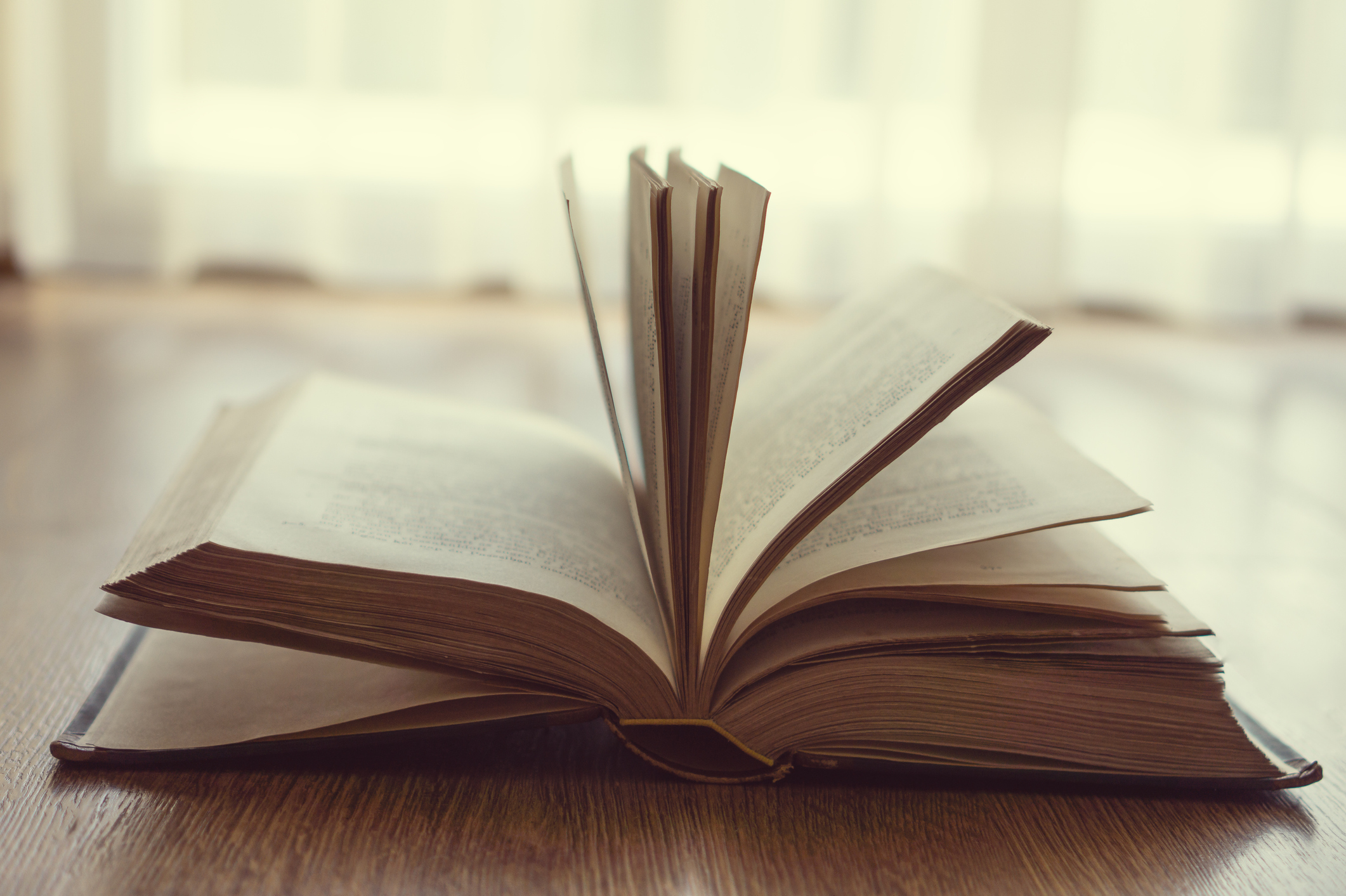 Readers Celebrate Writers