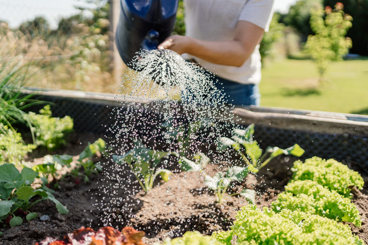 National Garden Week