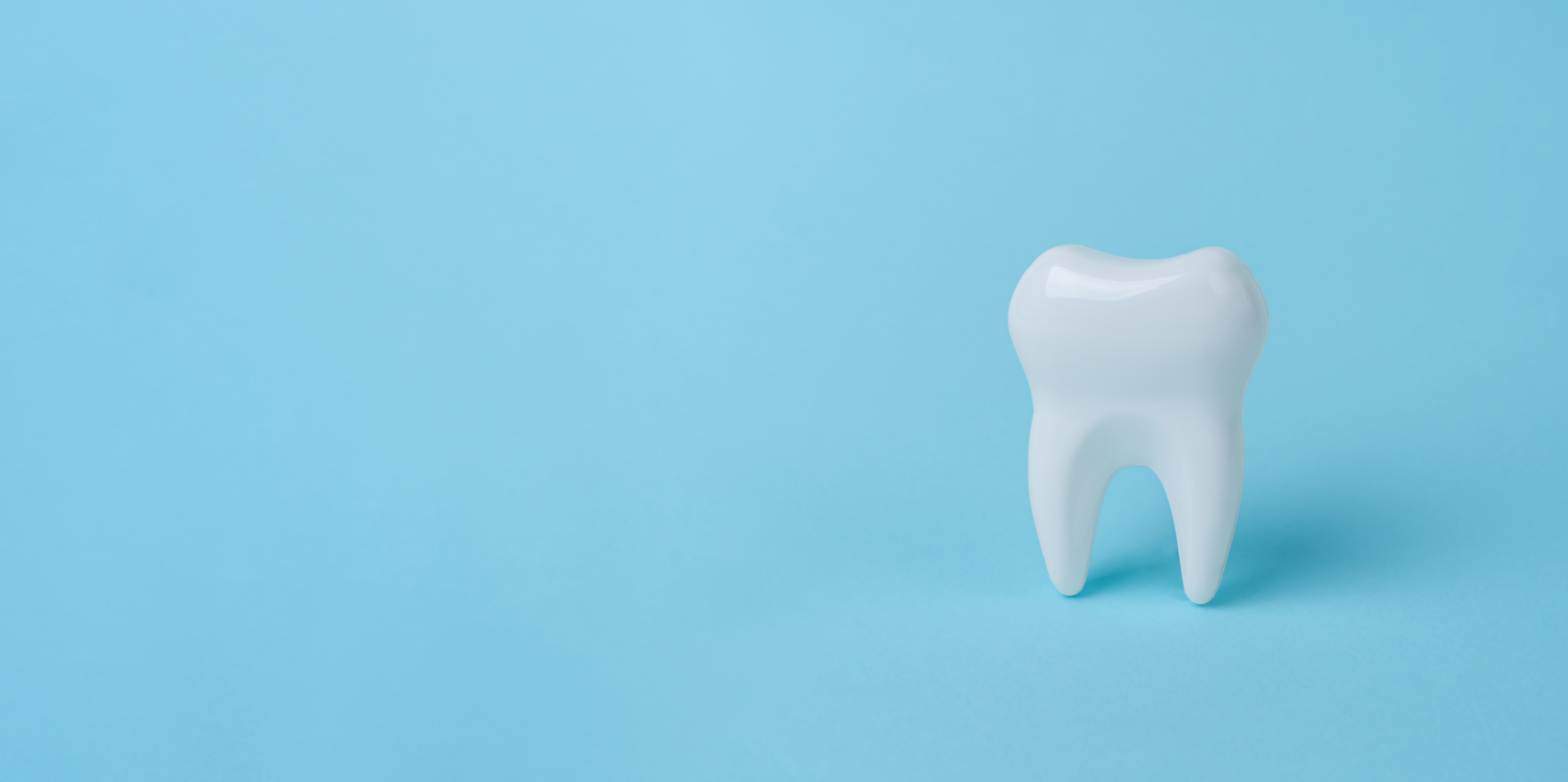 Beyond the Mouth: Embracing the Journey to Whole-Body Wellness