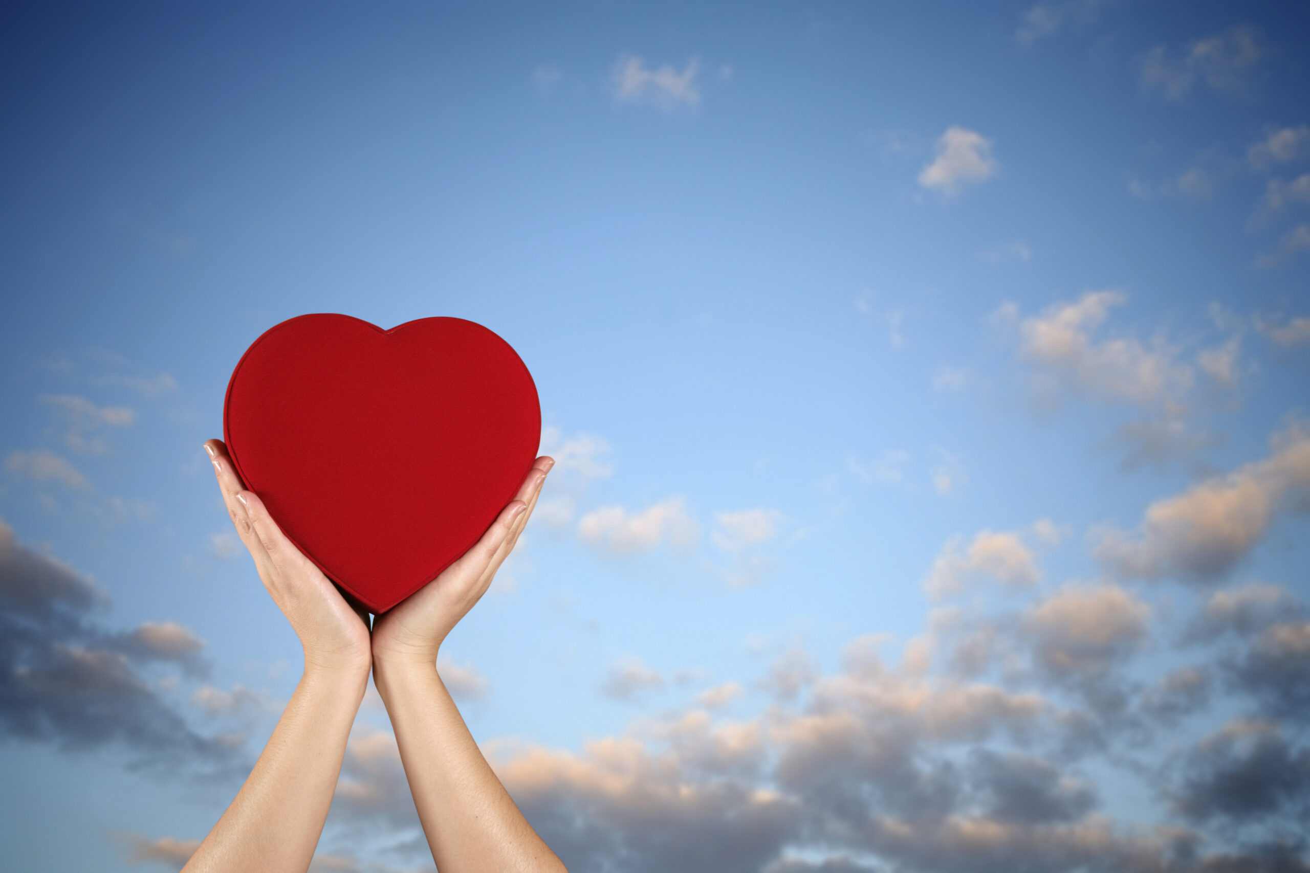 Let’s Make Some Noise for Nonprofits