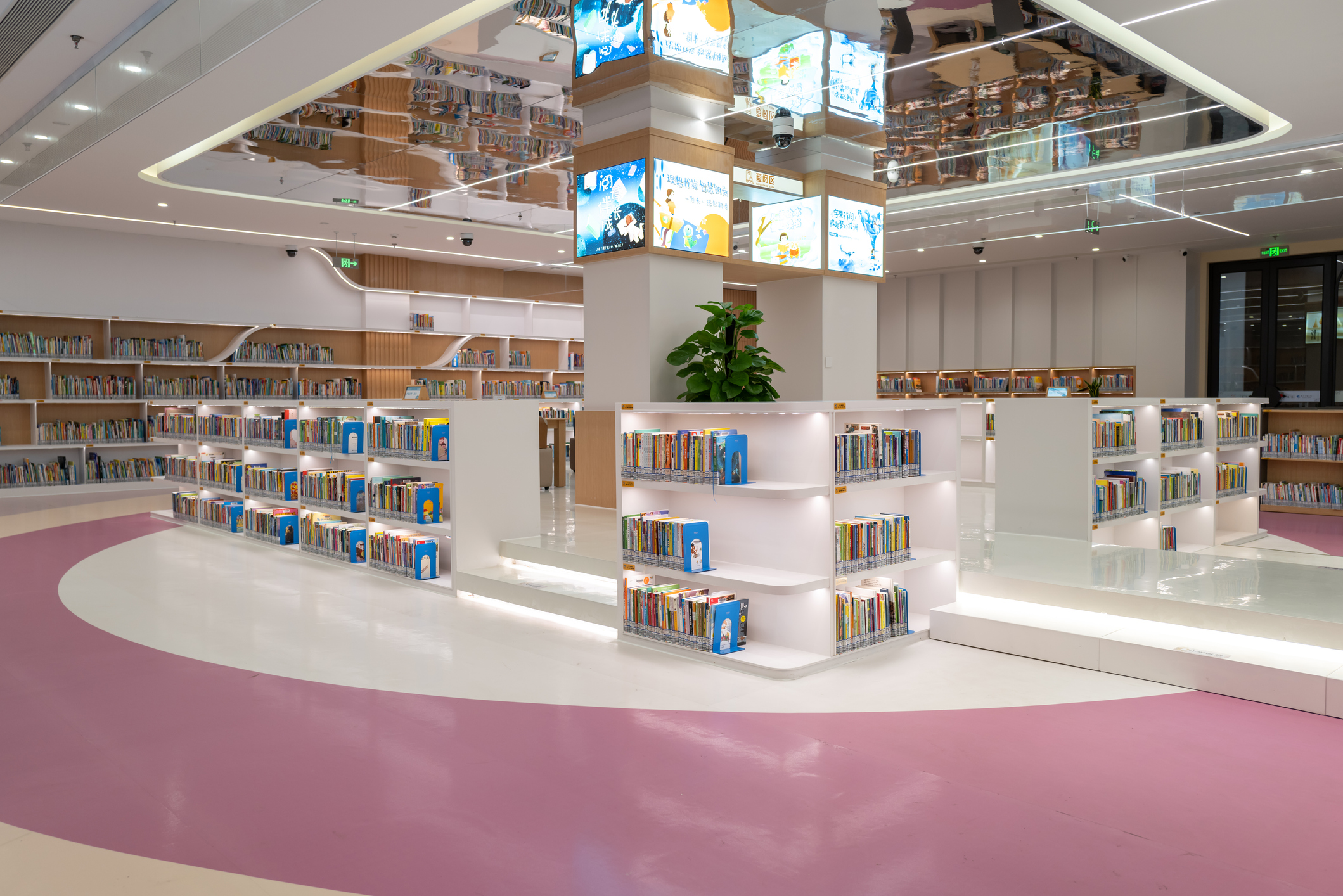 Health Equity and the Role of Our Public Libraries