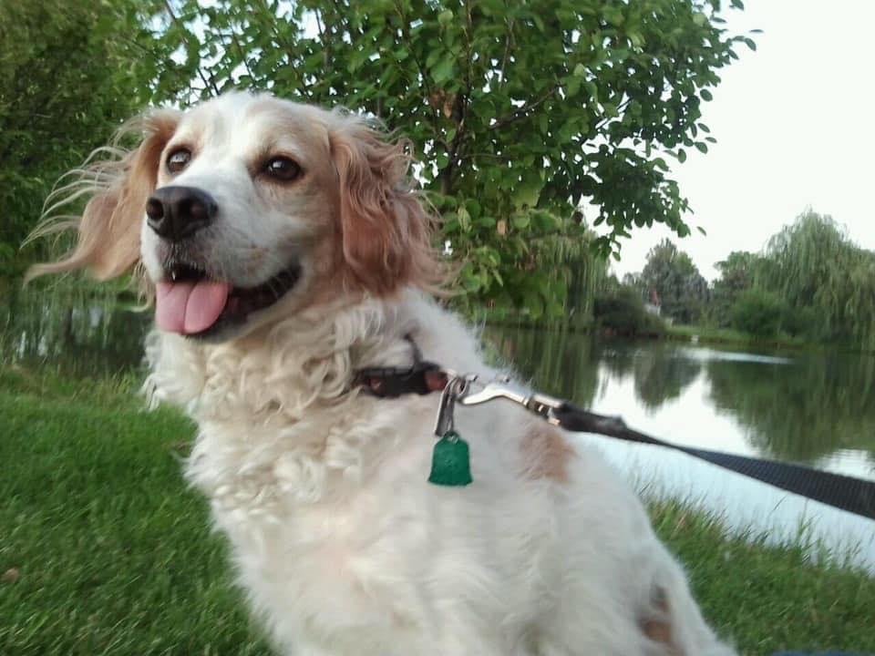 Seven Simple Secrets to Totally Rocking Your Kindness for Animals